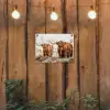 Hooglanders in de Winter tuinposter los doek klein -sfeer1