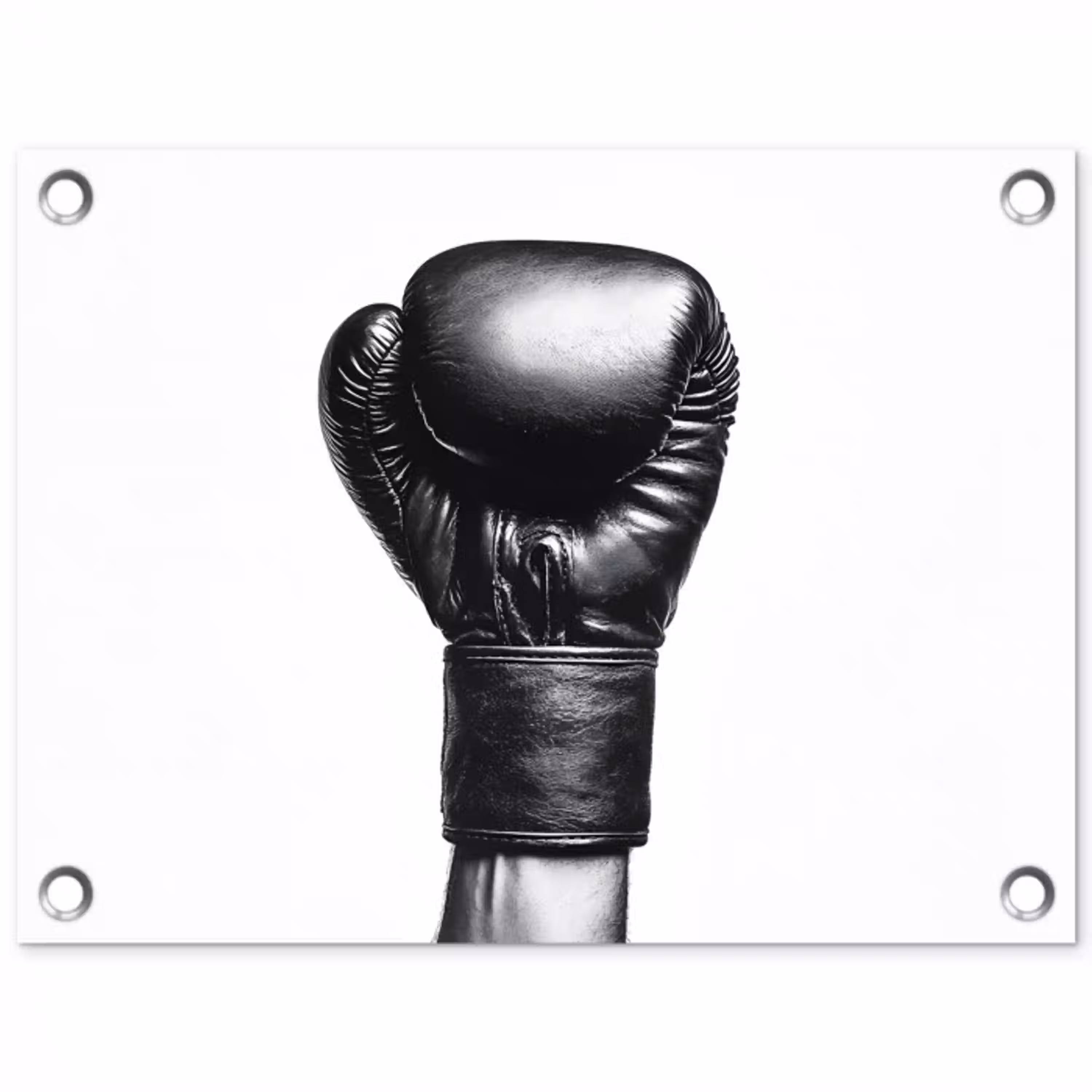 Bokshandschoen - Zwart - Hand tuinposter los doek klein -3d