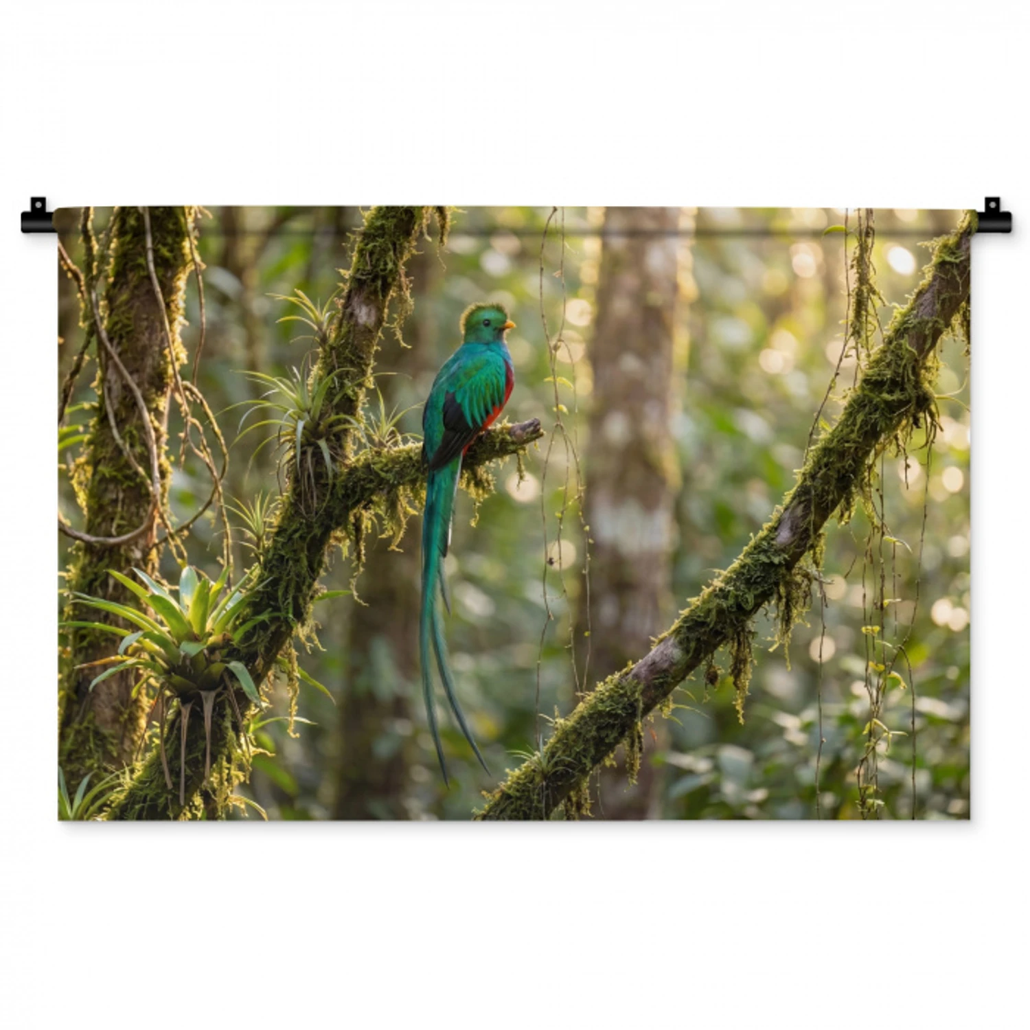 Quetzal - Jungle - Natuur - Groen Wandkleed katoen middel -zz3d