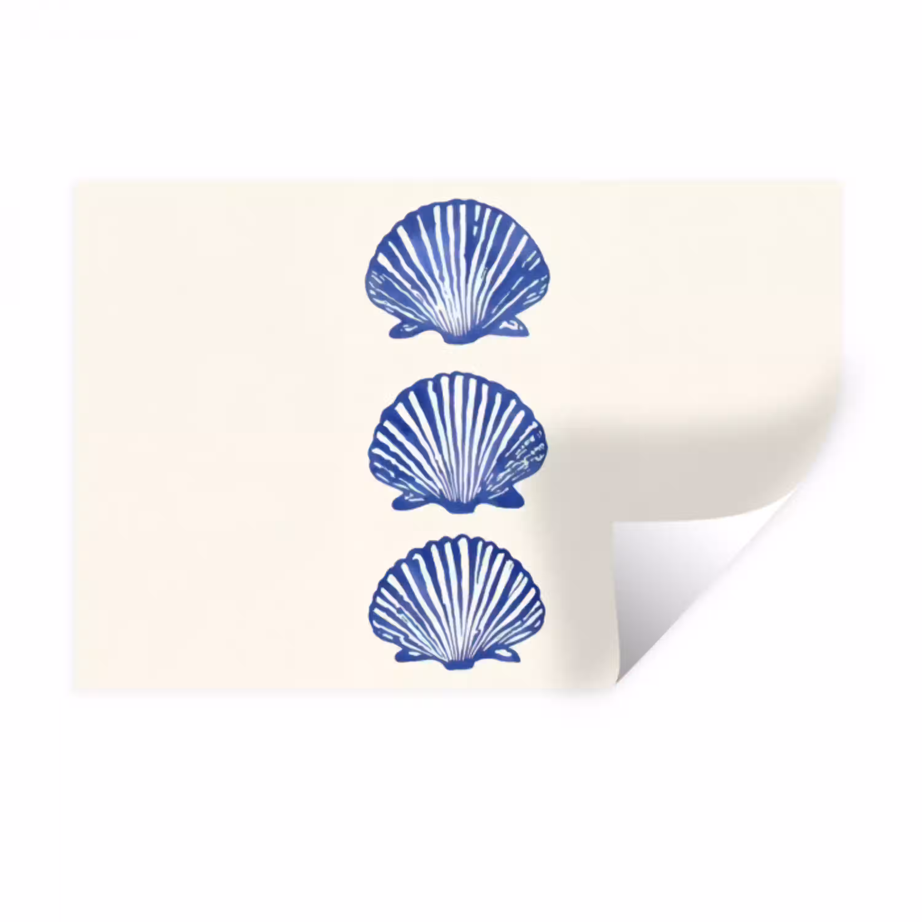 Schelpen - Blauw - Patroon Muursticker klein -3d