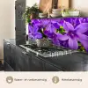 Bloemen - Paars - Natuur keuken achterwand 2 middel -usp_NL