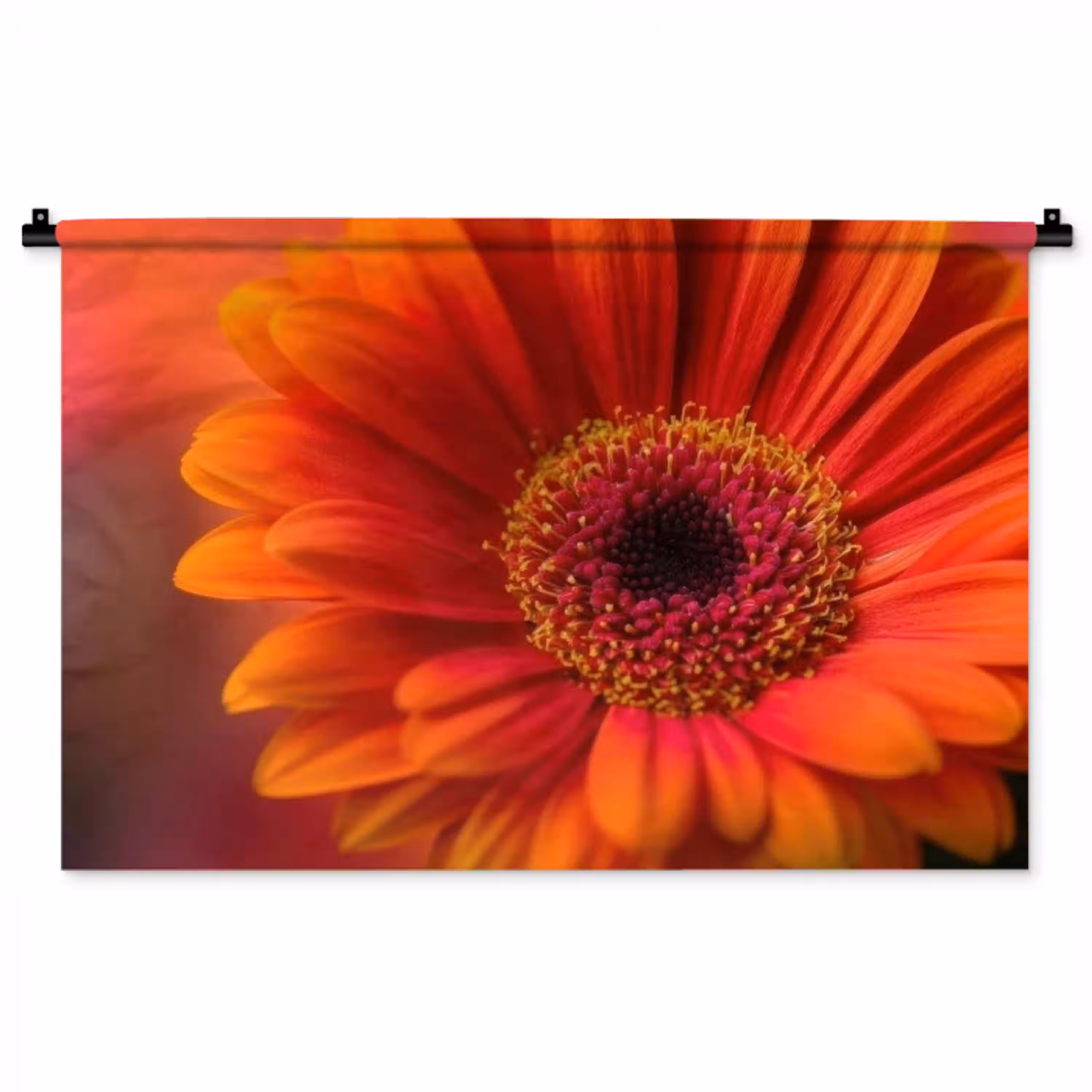 Oranje - Gerbera - Intens Wandkleed katoen middel -zz3d