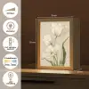 Tulpen - Wit - Bladeren Light Box met kabel (Tafellamp) klein -USP_NL
