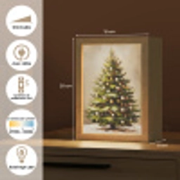 Kerst - Sfeer - Groen Light Box met kabel (Tafellamp) klein -USP_FR