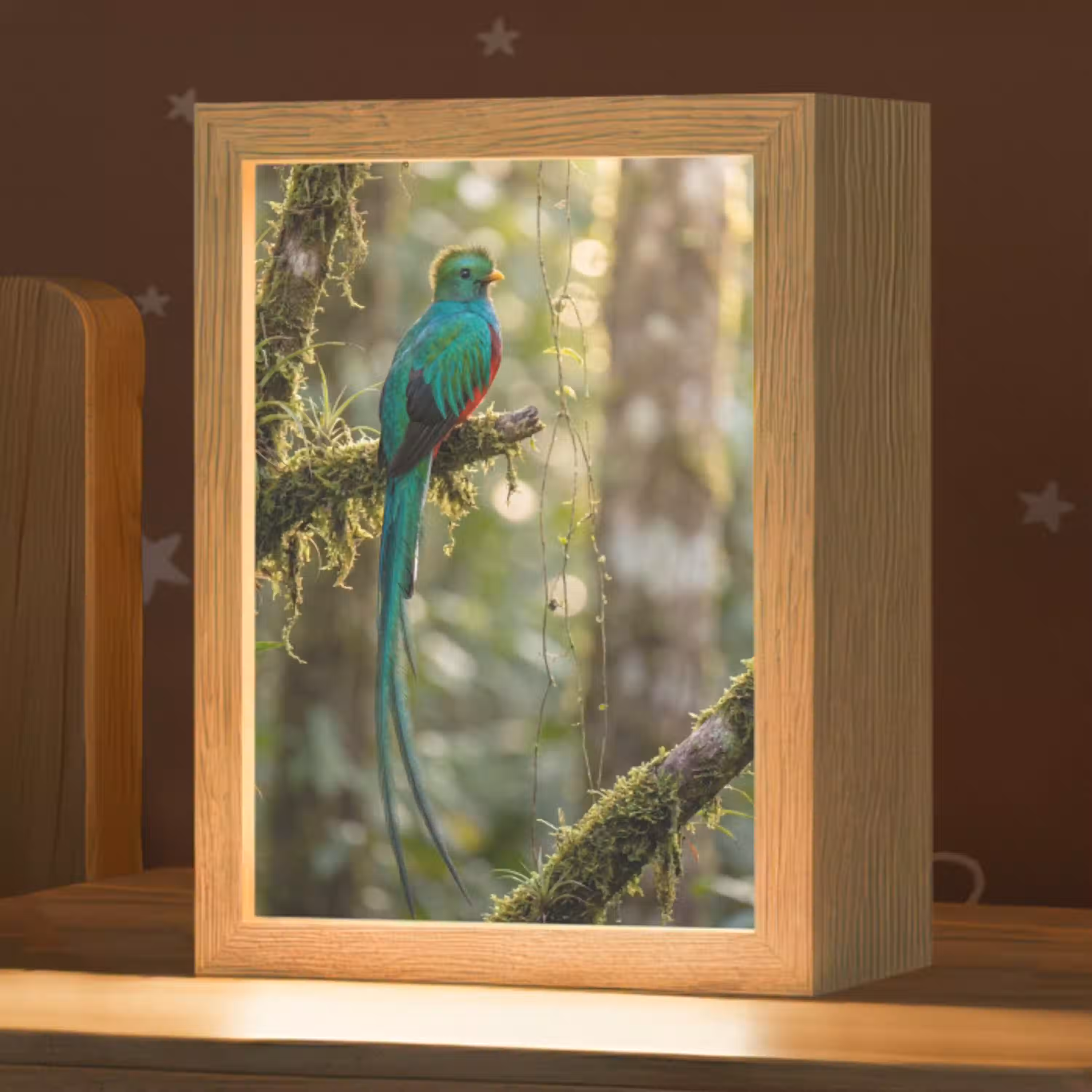 Quetzal - Jungle - Natuur - Groen Light Box met kabel (Kinderlampje) klein -zzz_3d_website