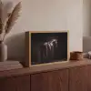 Krachtig - Paard - Donker Light Box met batterij (Wandlamp) middel -sfeer2