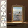 Glazenfles - Post - Zee - Zand Light Box met kabel (Tafellamp) klein -USP_NL