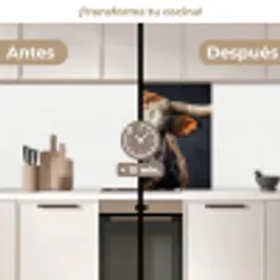 Stier - Kleurrijk - Hoorns keuken achterwand 2 middel -voor-na2_ES