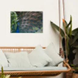 Vogel - Pauw - Veren tuinposter los doek klein -sfeer7