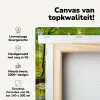 Bos - Landschap - Water - Bomen - Zon - Groen - Natuur canvas 2cm klein -zzzsfeer2_topdoek