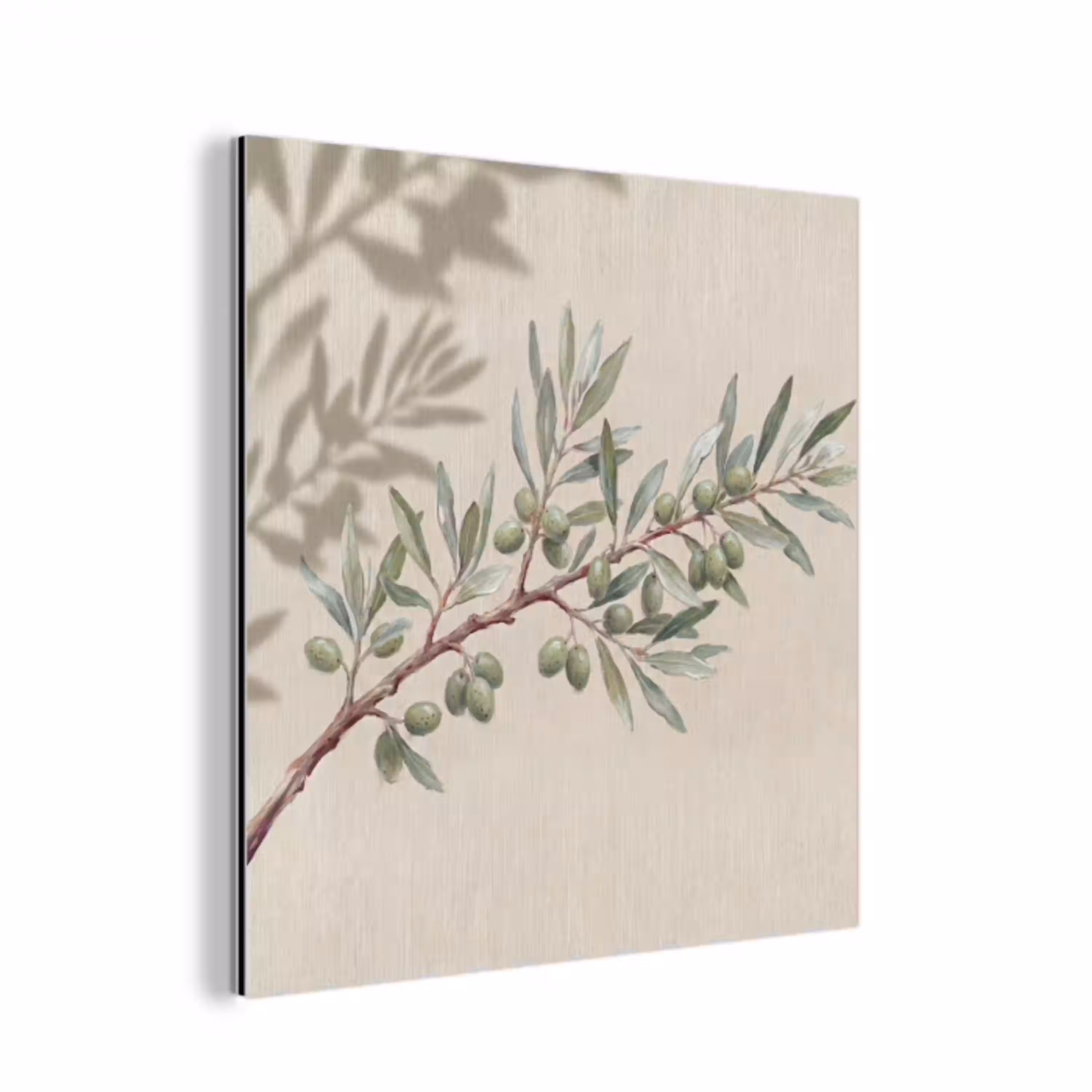 Olijftak - Bladeren - Natuur - Groen - Beige aluminium wit klein -3d