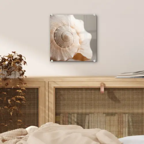 Schelp - Detail - Beige plexiglas 5mm klein -sfeer4