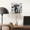 Schotse hooglander - Natuur - Koe - Zwart - Wit plexiglas 5mm klein -sfeer6