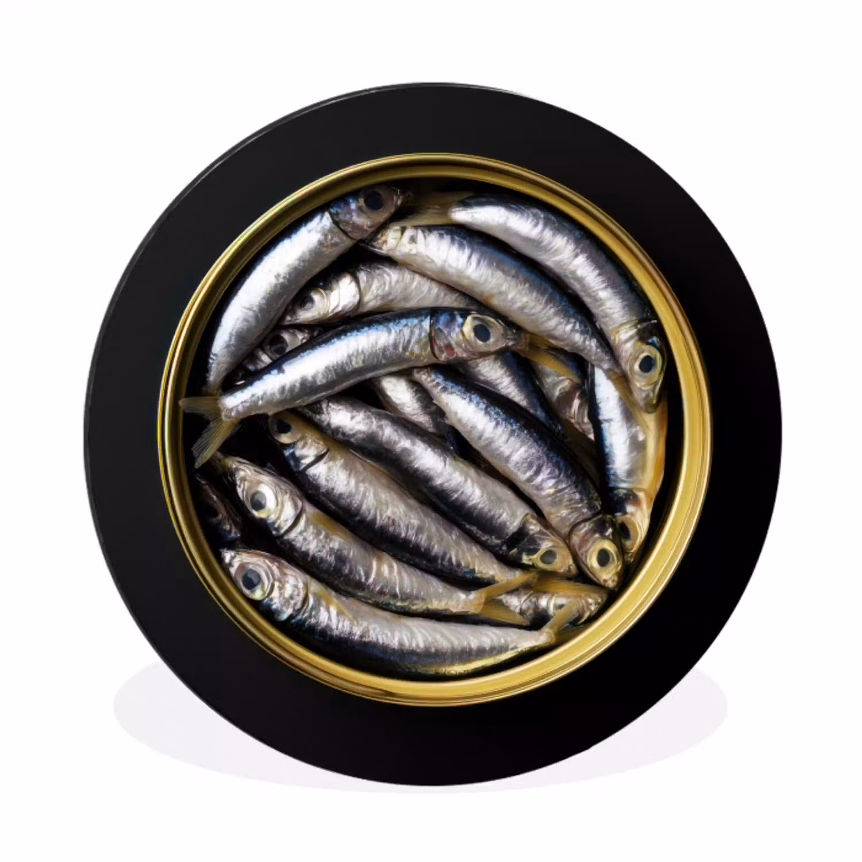 Sardines - Vissen - Rond - Zwart Wandcirkel aluminium klein -3d
