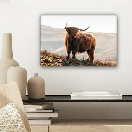 Schotse hooglander - Dieren - Landelijk - Landschap - Koe - Natuur canvas 2cm klein -sfeer6
