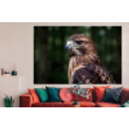 Buizerd - Roofvogel - Natuur - Bruin forex 5mm xxl -woonkamer