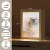 Abstract - Pastel kleuren - Goud - Modern - Aesthetic Light Box met kabel (Tafellamp) klein -USP_NL