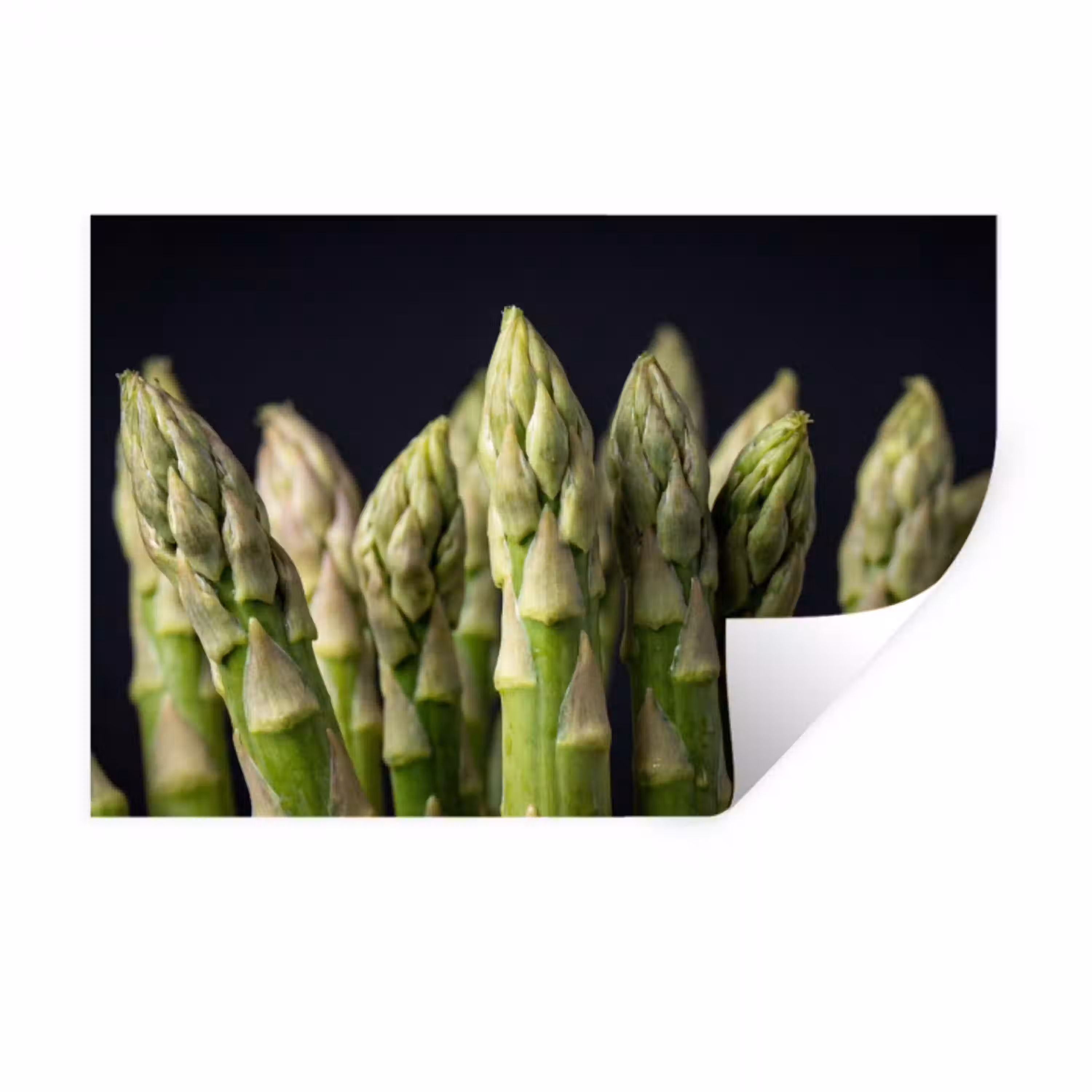 Asperges - Groen - Zwart Muursticker klein -3d