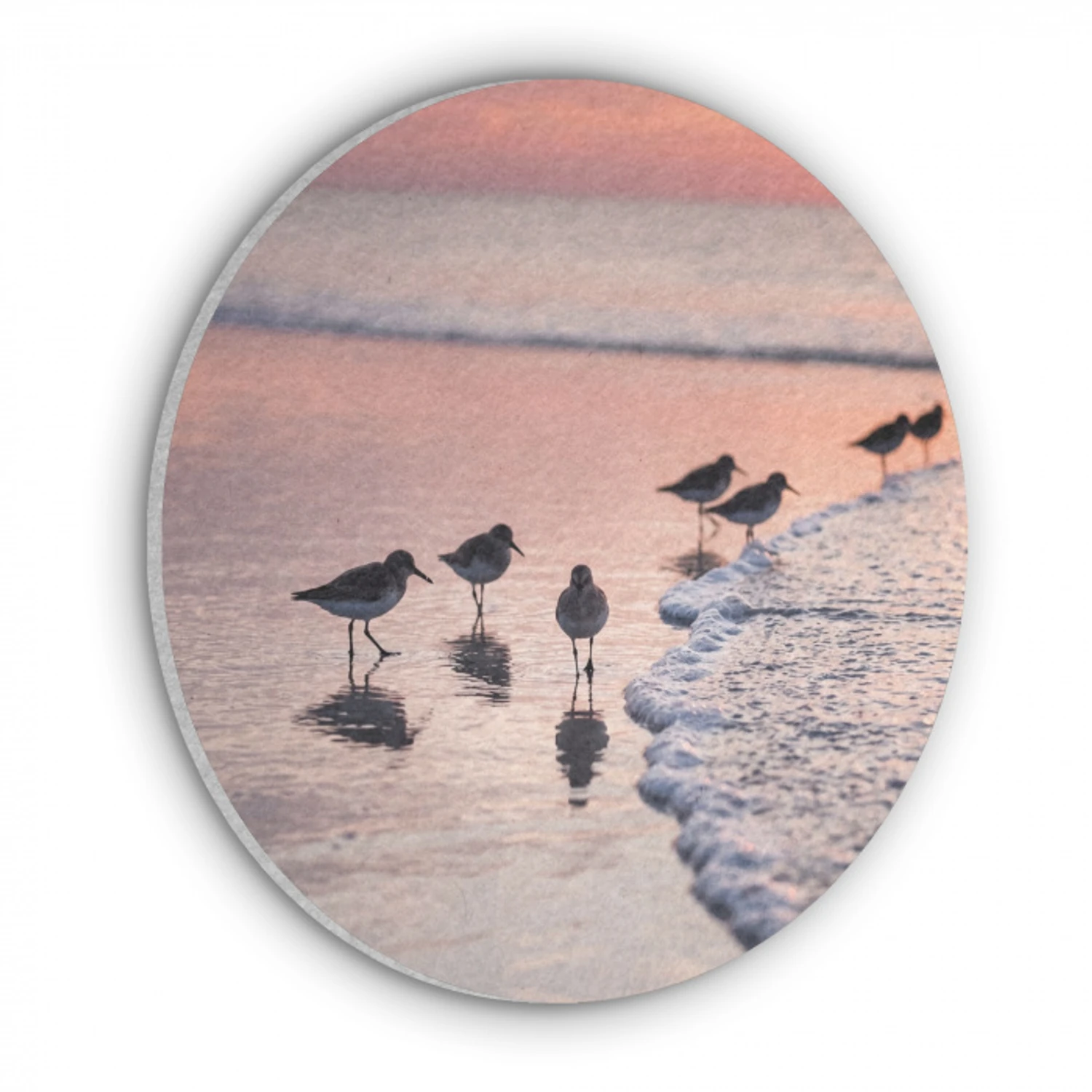 Meeuwen - Strand - Zee - Roze Akoestische PET Vilt - Rond klein -3d