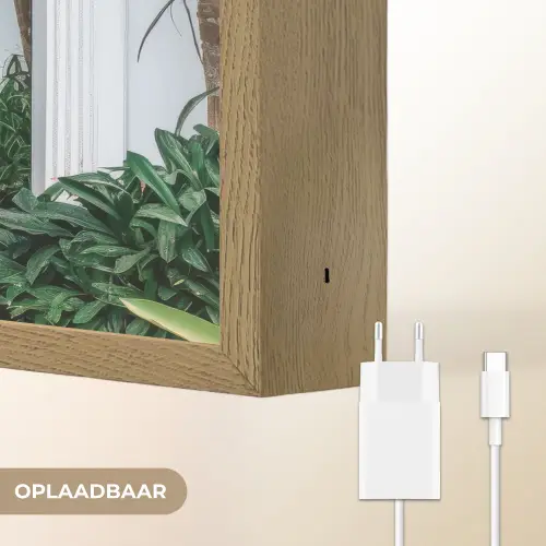 Deur - Patronen - Planten Light Box met batterij (Wandlamp) middel -USP_websiteoplaadbaarNL