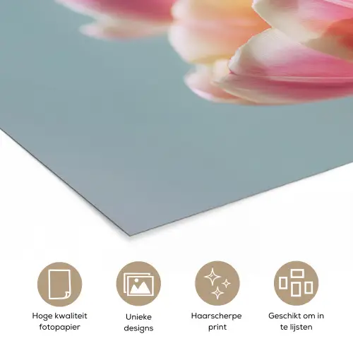 Tulpen - Roze - Stelen poster papier klein -closeup_NL