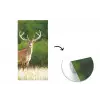 Hert - Gewei - Gras - Natuur - Dieren - Groen fotobehang vinyl groot -3d