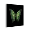 Vlinder - Groen - Diepte aluminium wit klein -3d