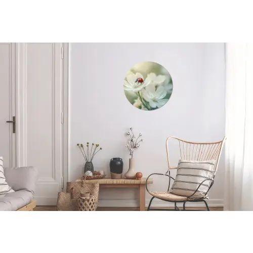 Lieveheersbeestje - Bloemen - Wit Wandcirkel aluminium klein -woonkamer
