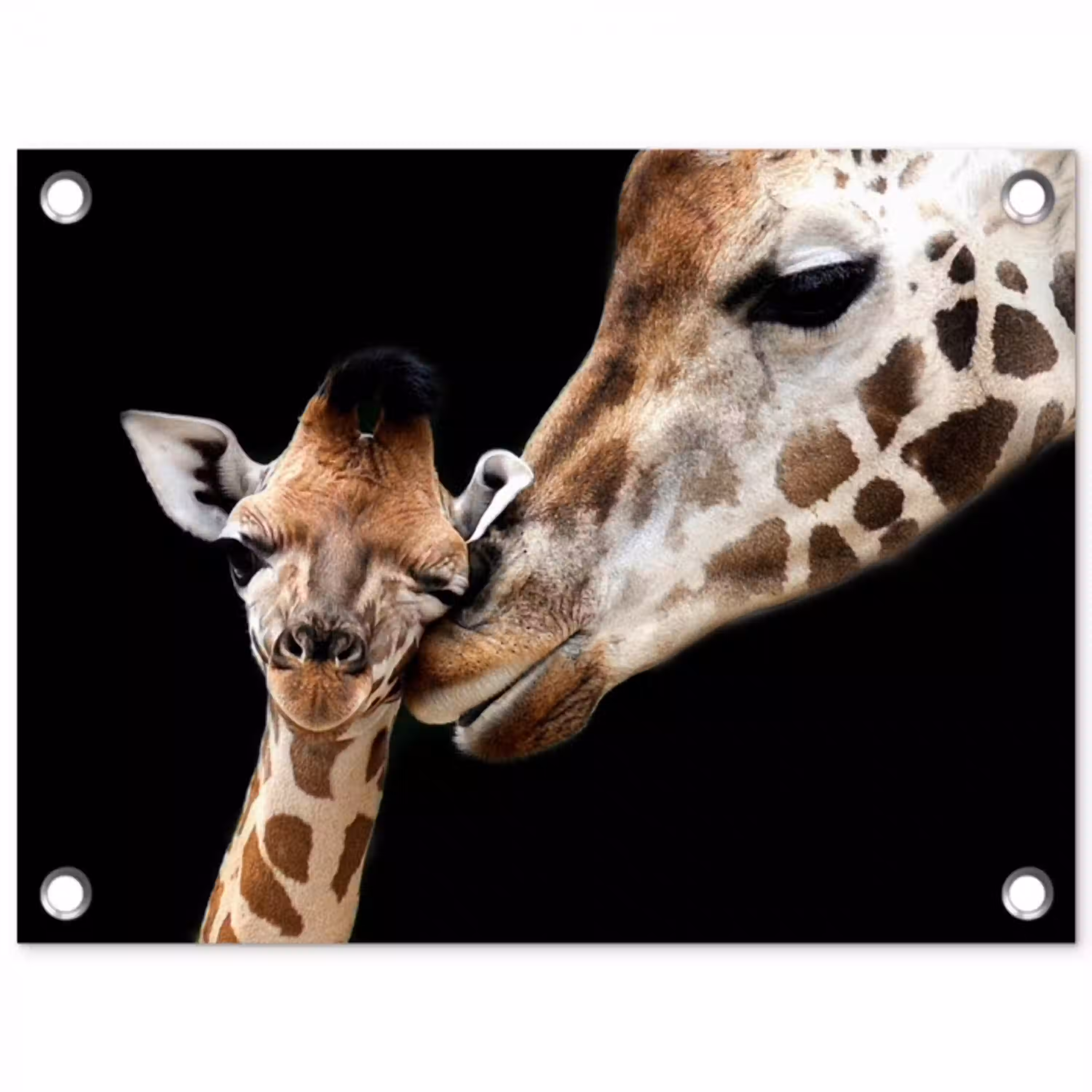 Moederlijke tederheid bij giraffen tuinposter los doek klein -3d