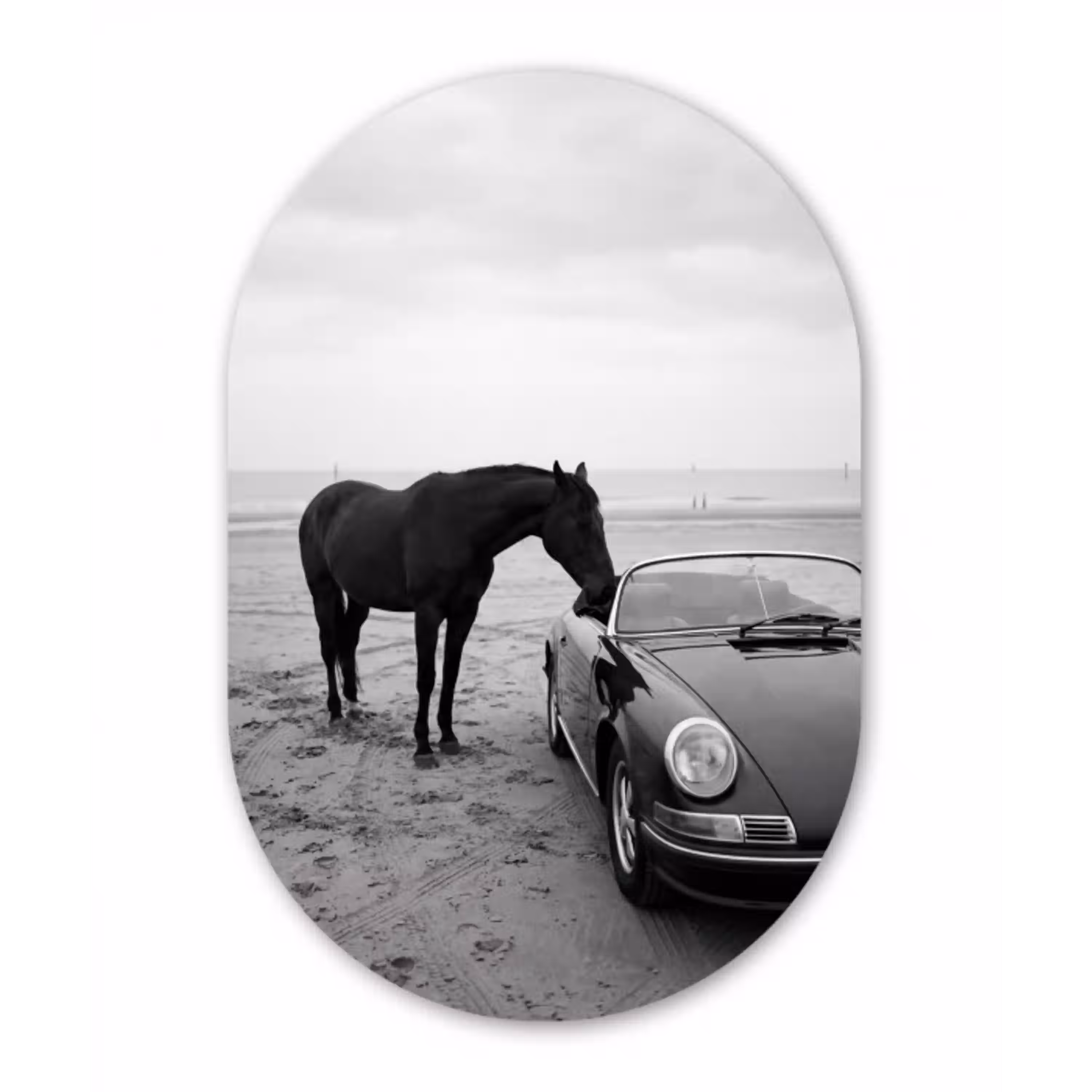 Paard - Auto - Zwart - Wit Wandcirkel Ovaal Aluminium middel -3d