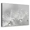 Paardenbloem - Waterdruppels - Stilleven - Modern Textielframe zwart klein -3d