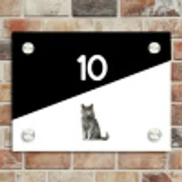 Zwart wit - Huisdier - Grijze kat Naambord Rechthoek middel -sfeer3