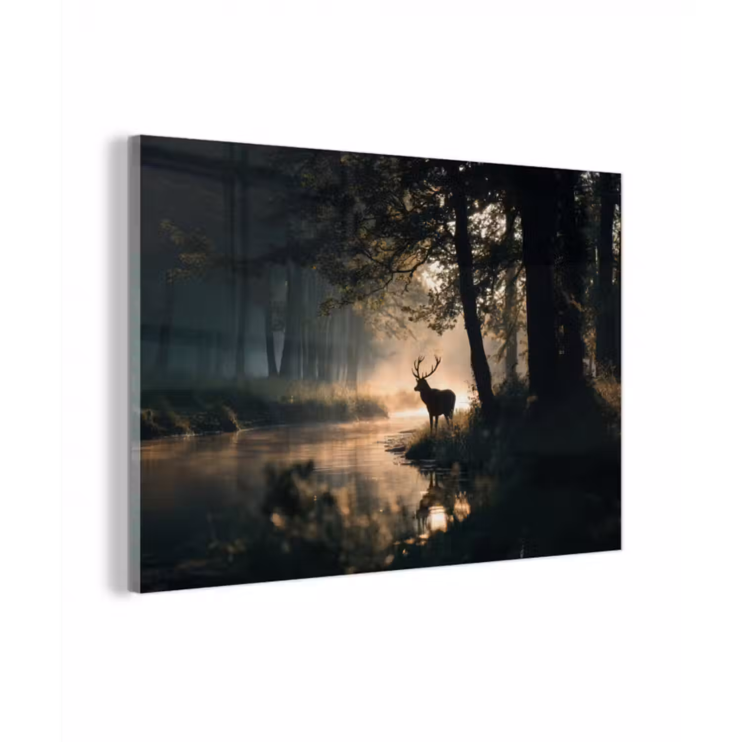 Glas schilderij - Hert - Bosbeek - Mystiek