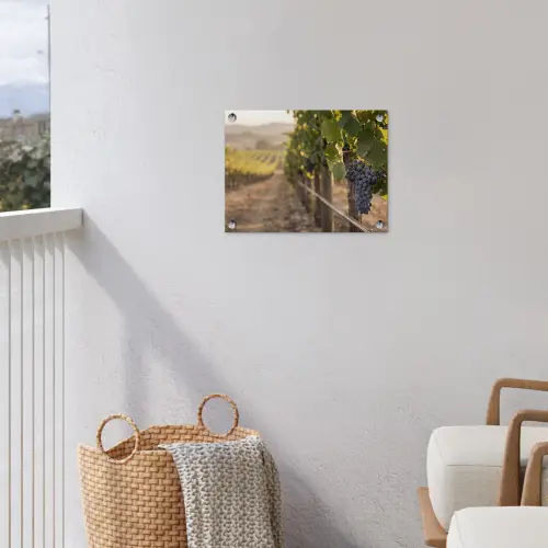 Druiven - Wijngaard - Zonlicht tuinposter los doek klein -sfeer8