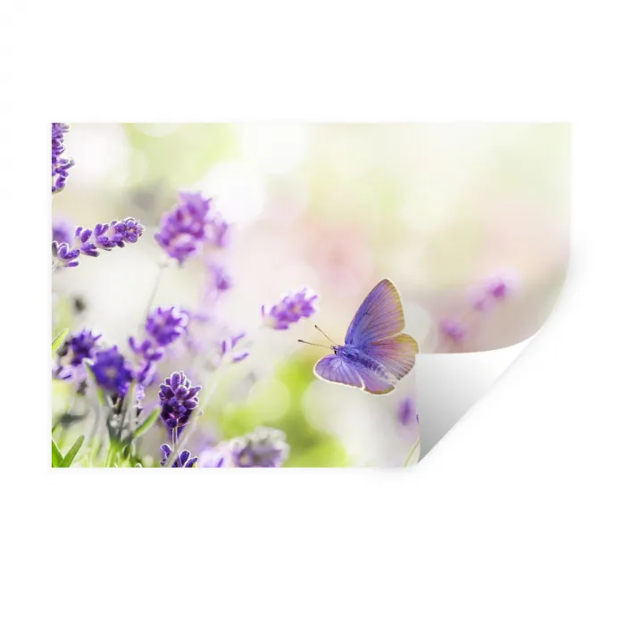 Lavendel - Vlinder - Bloemen Muursticker klein -3d