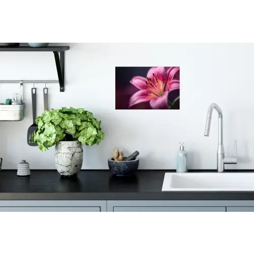 Roze - lelie - Dauwdruppels Muursticker klein -keuken