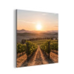 Wijngaard - Zonsondergang - Landschap aluminium wit klein -3d
