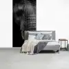 Olifant - Dier - Portret fotobehang vinyl groot -slaapkamer