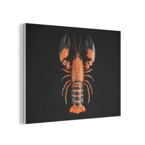 Kreeft - Oranje - Zwart - Modern PET vilt klein -3d