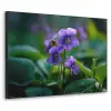 Viooltjes - Paars - Bloem - Bladeren Textielframe zwart klein -3d