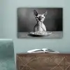 Sphynx - Kat - Dieren - Humor - Spaghetti - Zwart Wit canvas 2cm klein -sfeer4