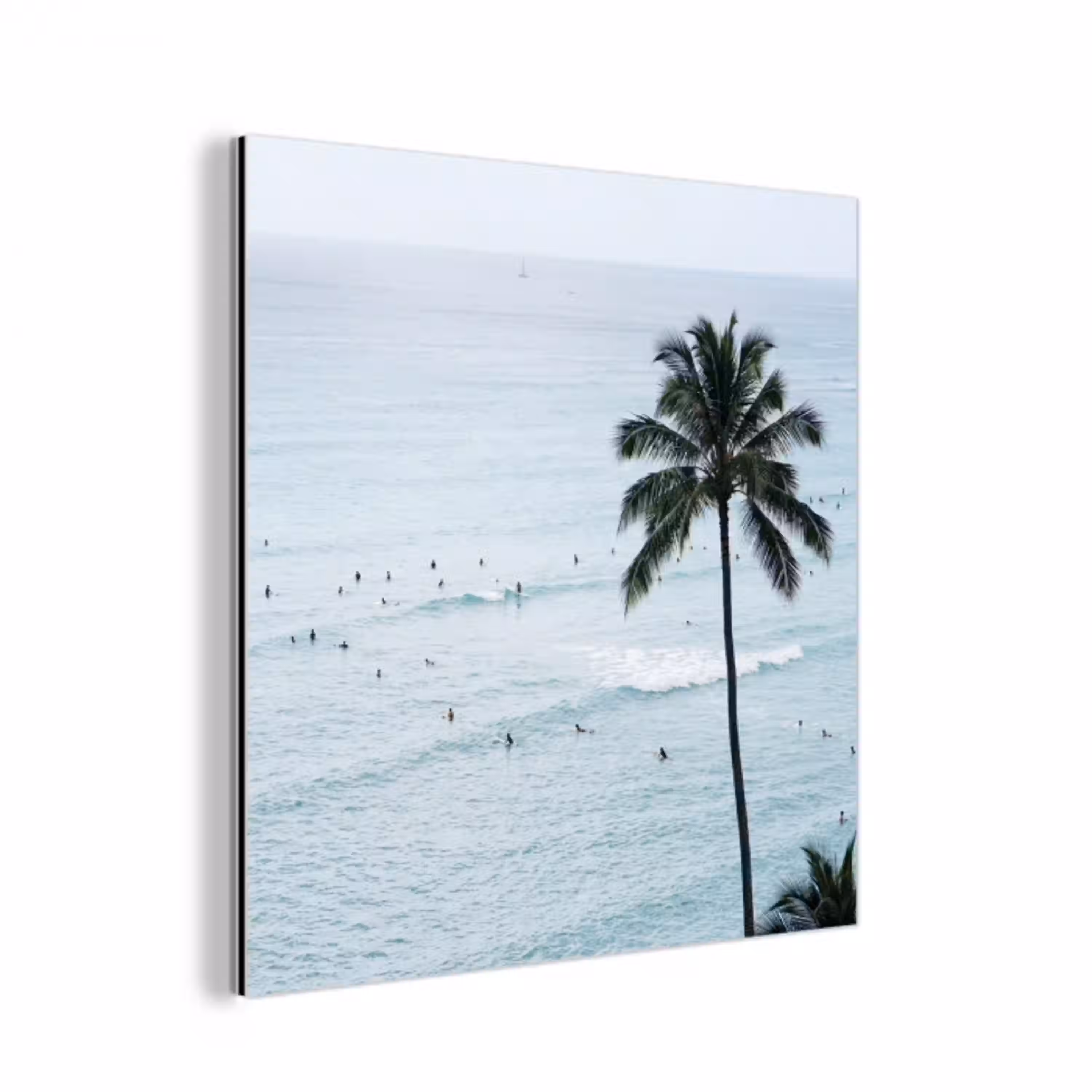 Oceaan - Palmbomen - Surfers aluminium wit klein -3d