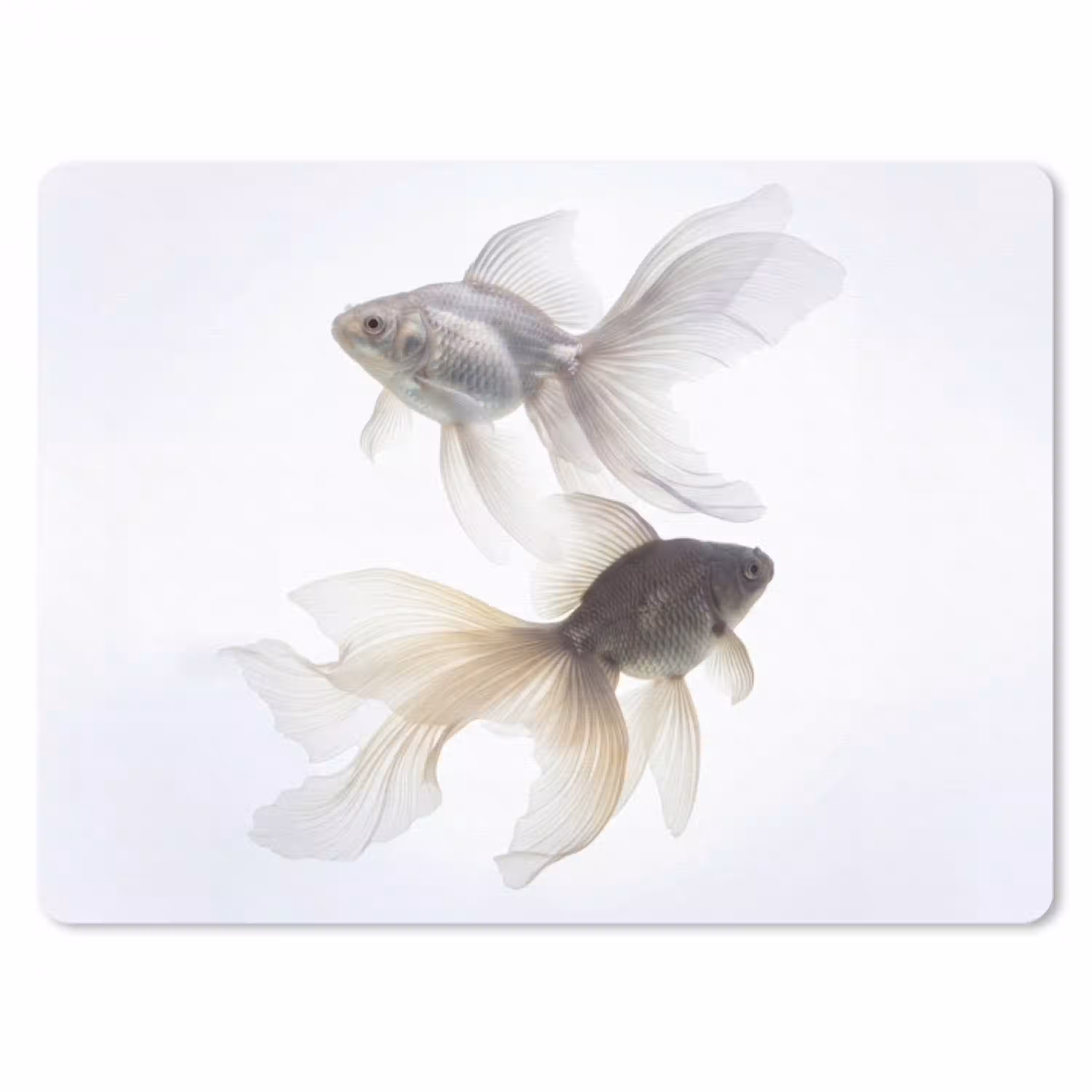 Goudvissen - Modern - Wit muismat rubber klein -3d
