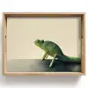 Kameleon - Groen - Minimalistisch Dienblad Rechthoek middel -z3d_shopping