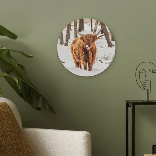 Schotse Hooglander - Sneeuw - Winter - Natuur - Dieren Akoestische PET Vilt - Rond klein -sfeer2