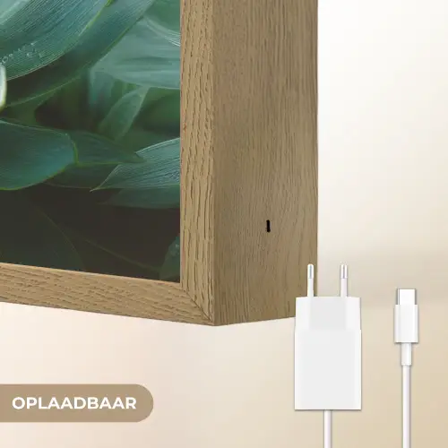 Blad - Plant - Groen - Textuur Light Box met batterij (Wandlamp) middel -USP_websiteoplaadbaarNL