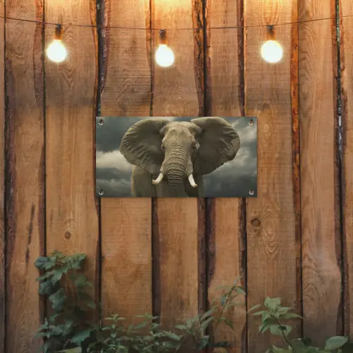 Afrikaanse olifant tegen de donkere wolken tuinposter los doek klein -sfeer1