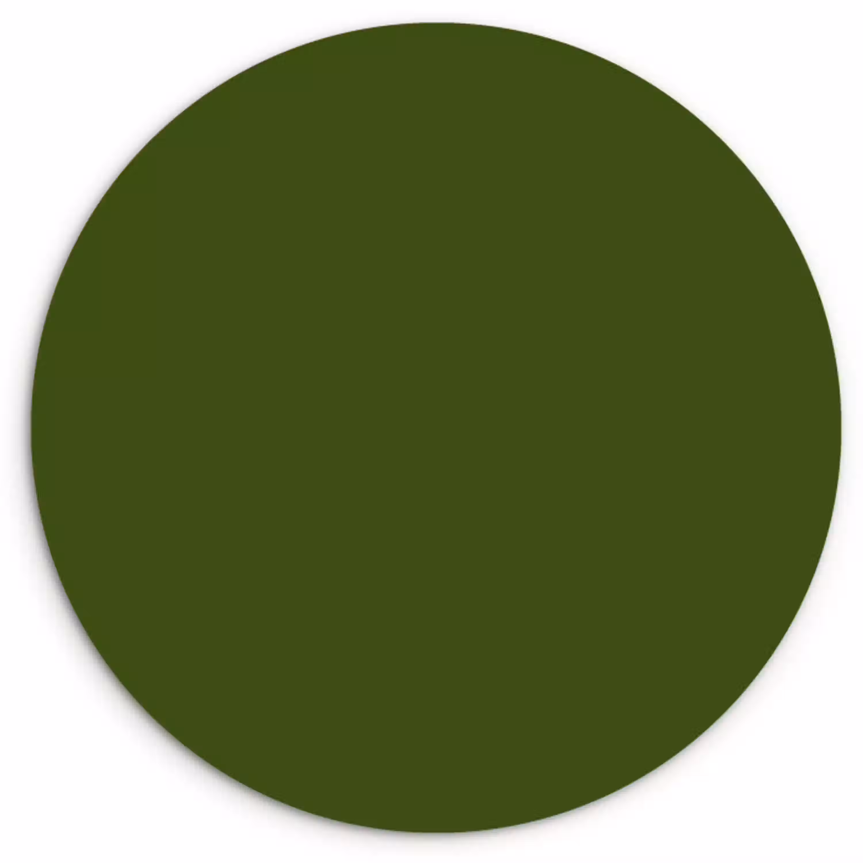 Olive - Drab - Groen Wandcirkel kunststof plaat 5mm dik klein 188 -3d