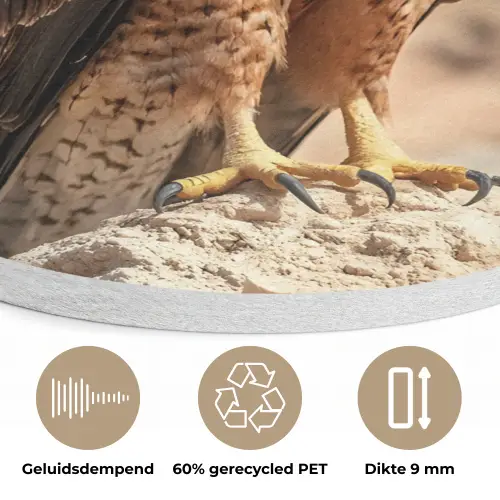 Valk - Vogel - Rots - Macht Akoestische PET Vilt - Rond klein -closeup_NL