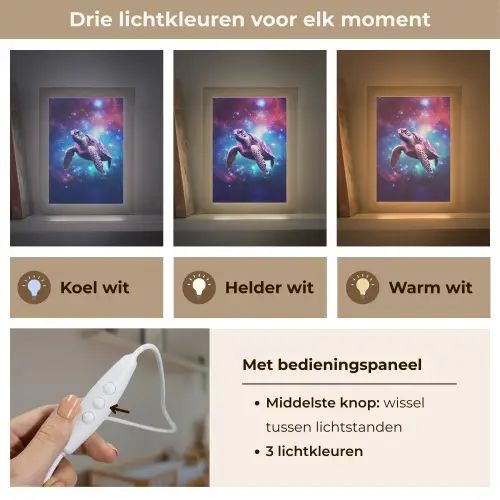 Schildpad - Dier - Galaxy - Ruimte Light Box met kabel klein -USP_lichtkleurNL